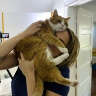 Fiona Dourif's pet Potato