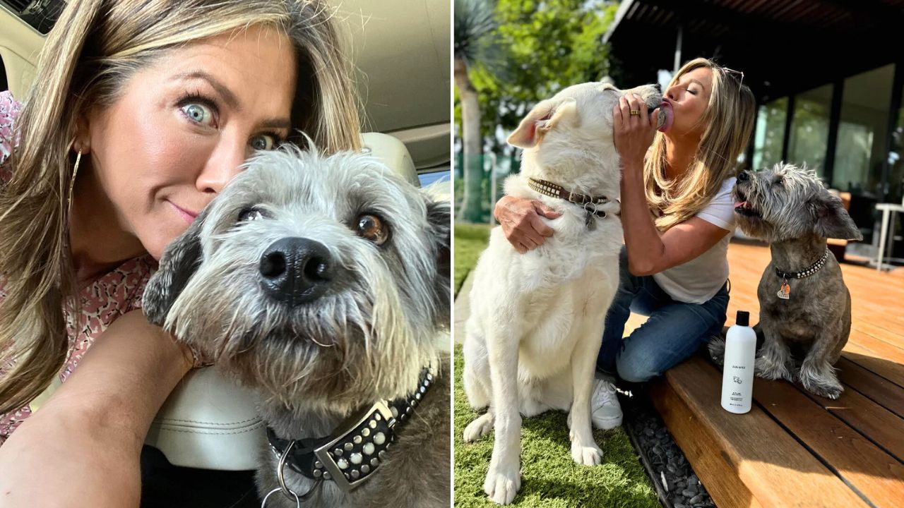 Jennifer Aniston Posts Heartwarming Video and Poem About Her Rescue Dogs