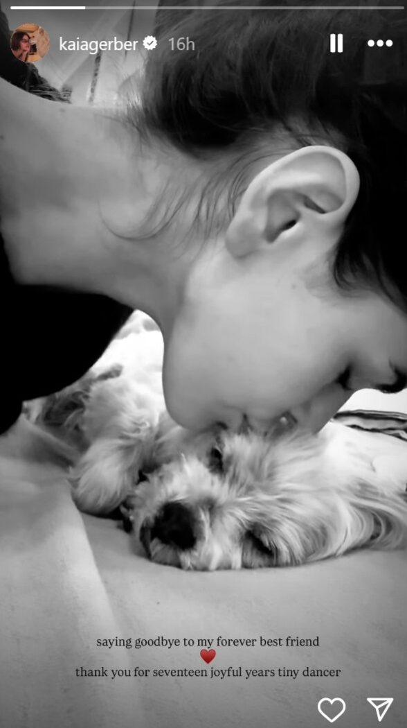 Kaia Gerber tribute to dog Widget dying