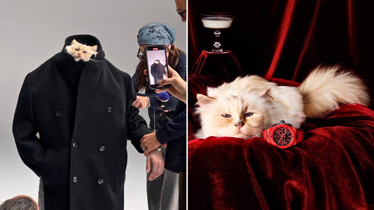 Karl Lagerfeld Cat Choupette Named CEO of Luxury Watch Brand Hublot