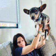 Katherine Moennig's pet Dog