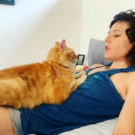 Katherine Moennig's pet Orange Cat