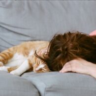 Katja Herbers' pet Cat