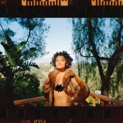 Kiersey Clemons Pets
