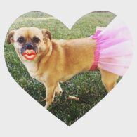 Kristy Swanson's pet Ava