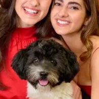 Melina Kanakaredes' pet Enzo