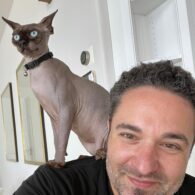 Meredith Eaton's pet Sphynx Cat