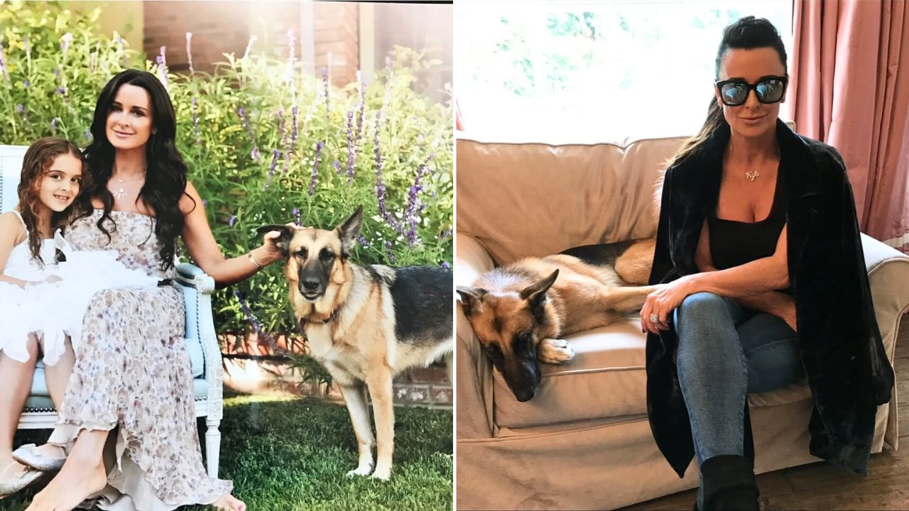 RHOBH Star Kyle Richards Mourns Death of Rescued German Shepherd River