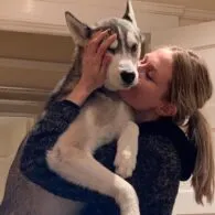 Rita Volk's pet Husky