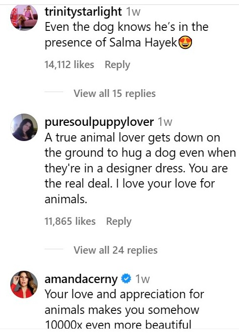Salma Hayek dog lover instagram comments