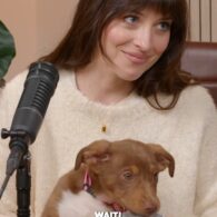 Dakota Johnson's pet Tokyo