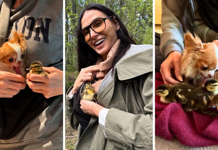 Demi Moore Rescued (and Adopted) Three Orphaned Ducklings That She Found