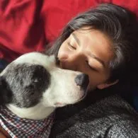 Lindsay Navarro's pet Theo