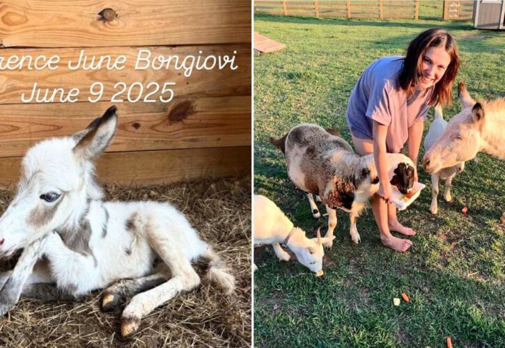 Millie Bobby Brown Introduces Her Adorable Newborn Pet Donkey