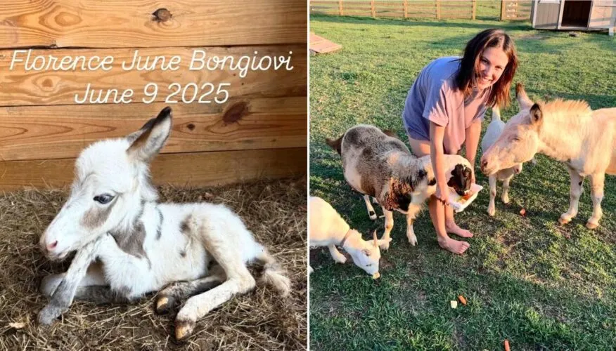 Millie Bobby Brown Introduces Her Adorable Newborn Pet Donkey