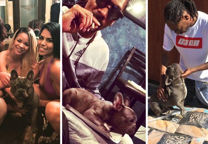 Snoop Dogg Mourns Loss of His Famous Frenchie Juelz