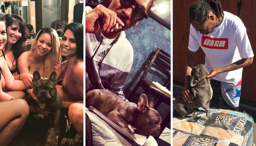 Snoop Dogg Mourns Loss of His Famous Frenchie Juelz