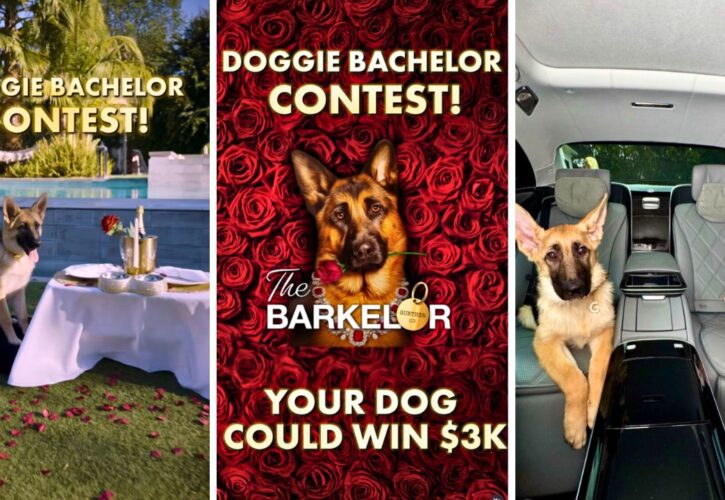 Gunther VII, World’s Richest Dog, Launches “The Barkelor” Contest Doggy Playdate