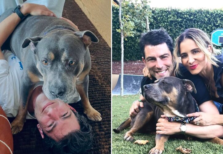 Max Greenfield and Tess Sanchez Mourn Darlene, the Pitbull Who Waited 400 Days for Adoption