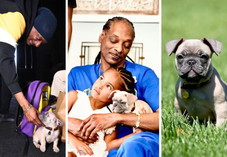 Snoop Dogg Got a New Frenchie Puppy Named Baby Boy That’s Already an Instagram Star