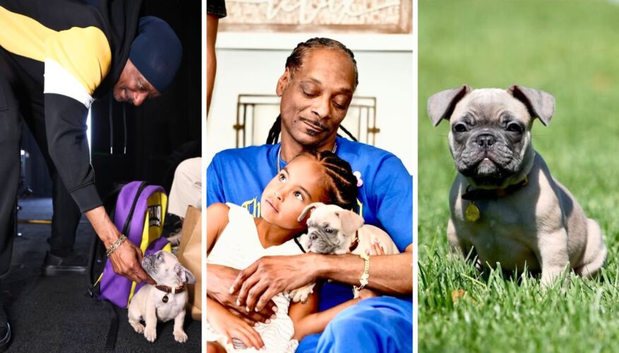 Snoop Dogg Got a New Frenchie Puppy Named Baby Boy That’s Already an Instagram Star