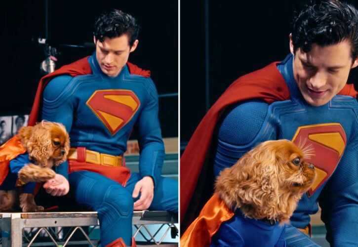“Superman” Star David Corenswet Brought His Adorable Super Spaniel to Set