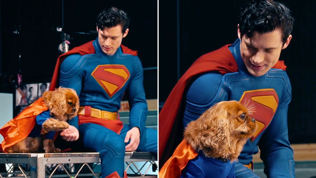 Superman Star David Corenswet Brought His Adorable Super Spaniel to Set