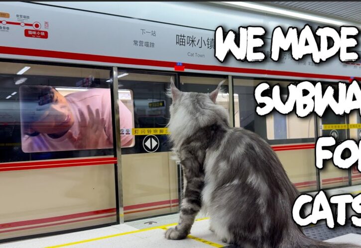 A Carpenter Spent Four Months Building a Realistic Working Subway for His Cats