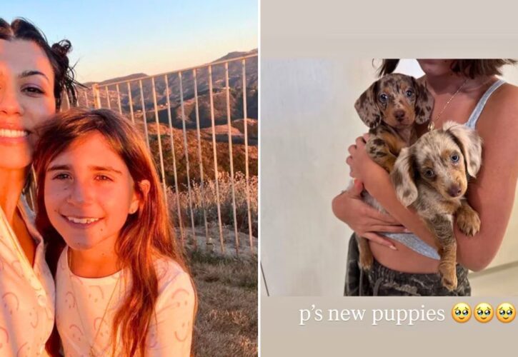 Kylie Jenner Gives a First Look at the New Kardashian-Disick Puppies