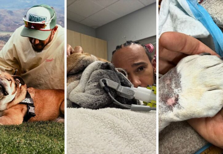 Lewis Hamilton Announces the Heartbreaking Loss of His Beloved Bulldog, Roscoe