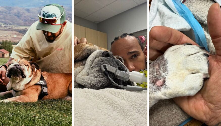 Lewis Hamilton Announces the Heartbreaking Loss of His Beloved Bulldog, Roscoe