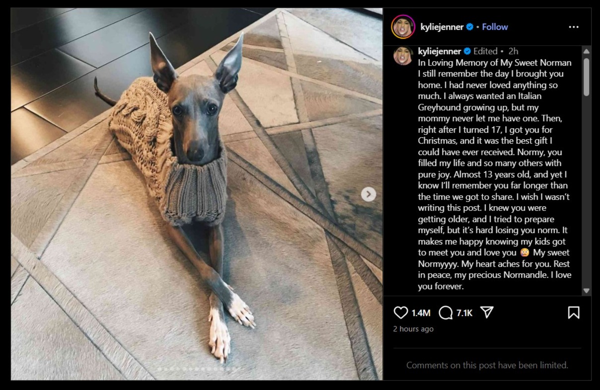 Kylie Jenner Instagram post of her dog Noman death