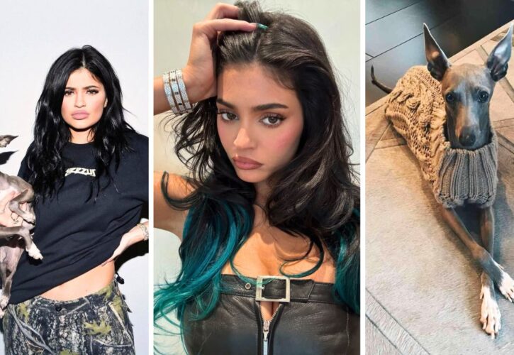 Kylie Jenner Says Goodbye to Her ‘Best Gift’ After Her Italian Greyhound Norman Passes Away