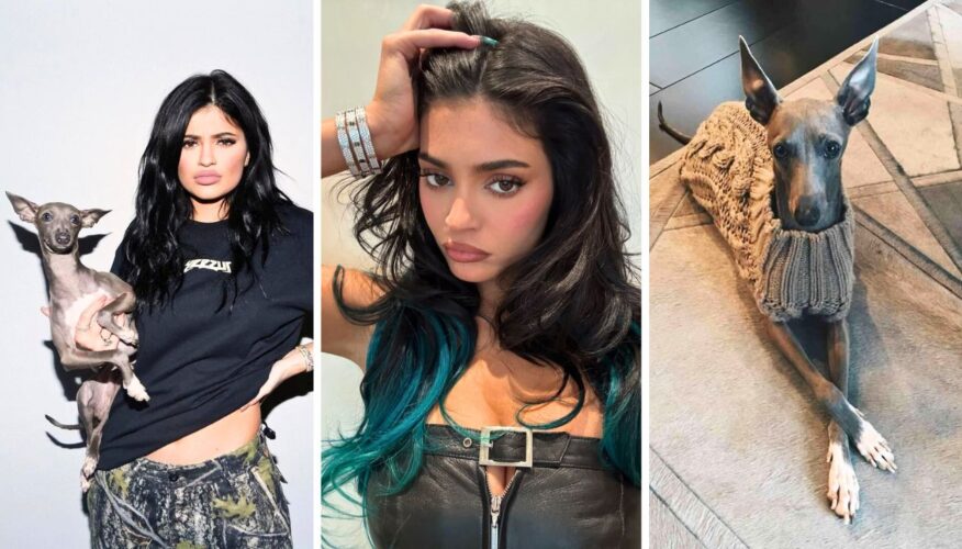 Kylie Jenner Says Goodbye to Her ‘Best Gift’ After Her Italian Greyhound Norman Passes Away