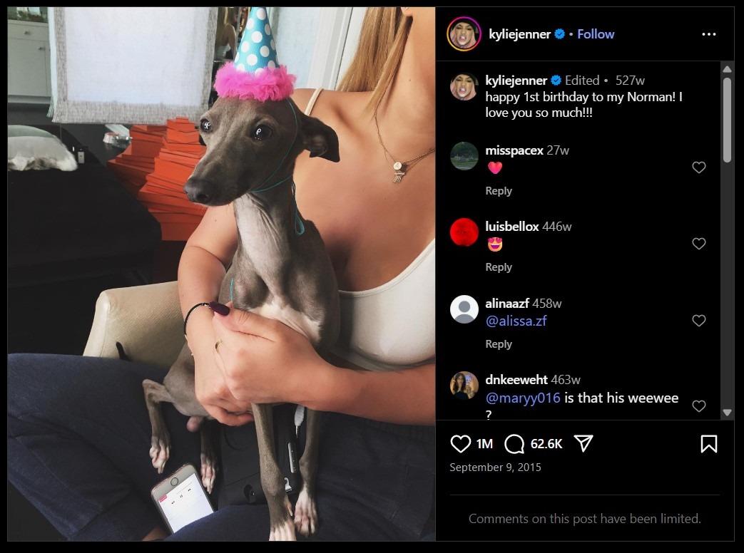 Kylie Jenner dog Norman first birthday