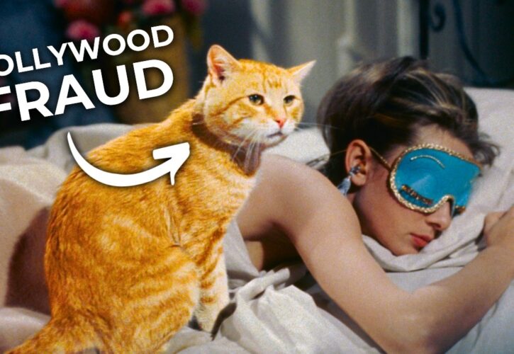 This Video Reveals The Surprising Secrets Behind How Cats “Act” in Movies
