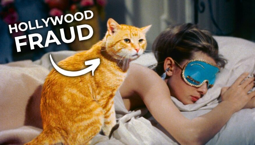 This Video Reveals The Surprising Secrets Behind How Cats “Act” in Movies