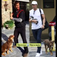 Tom Brady's pet Junie