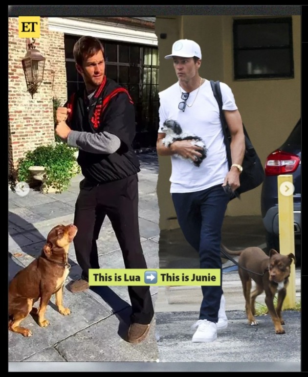 Tom Brady cloned dog Junie