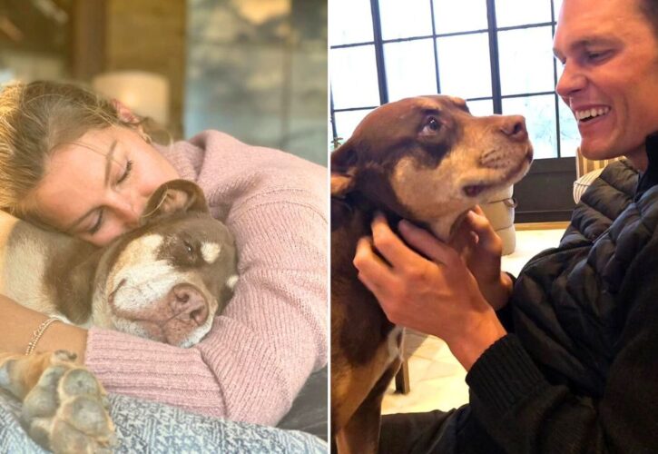 Tom Brady Reveals His New Pup Junie Is a ($50,000) Clone of His Late Pittie, Lua